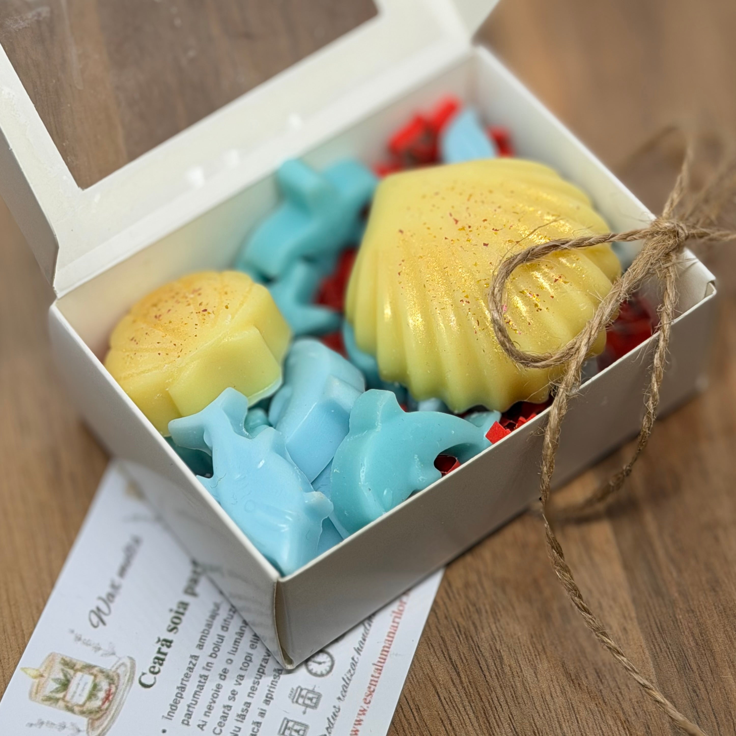 Wax melts-Coastal Adventure