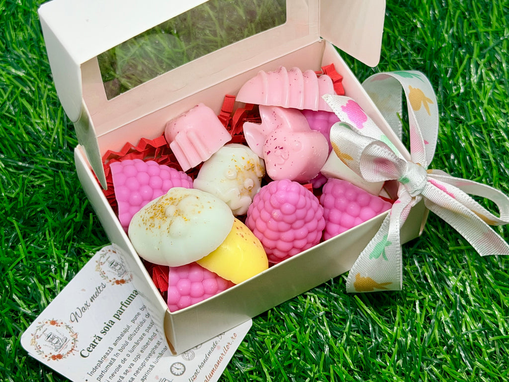 Wax melts - zmeură & simboluri de Paște