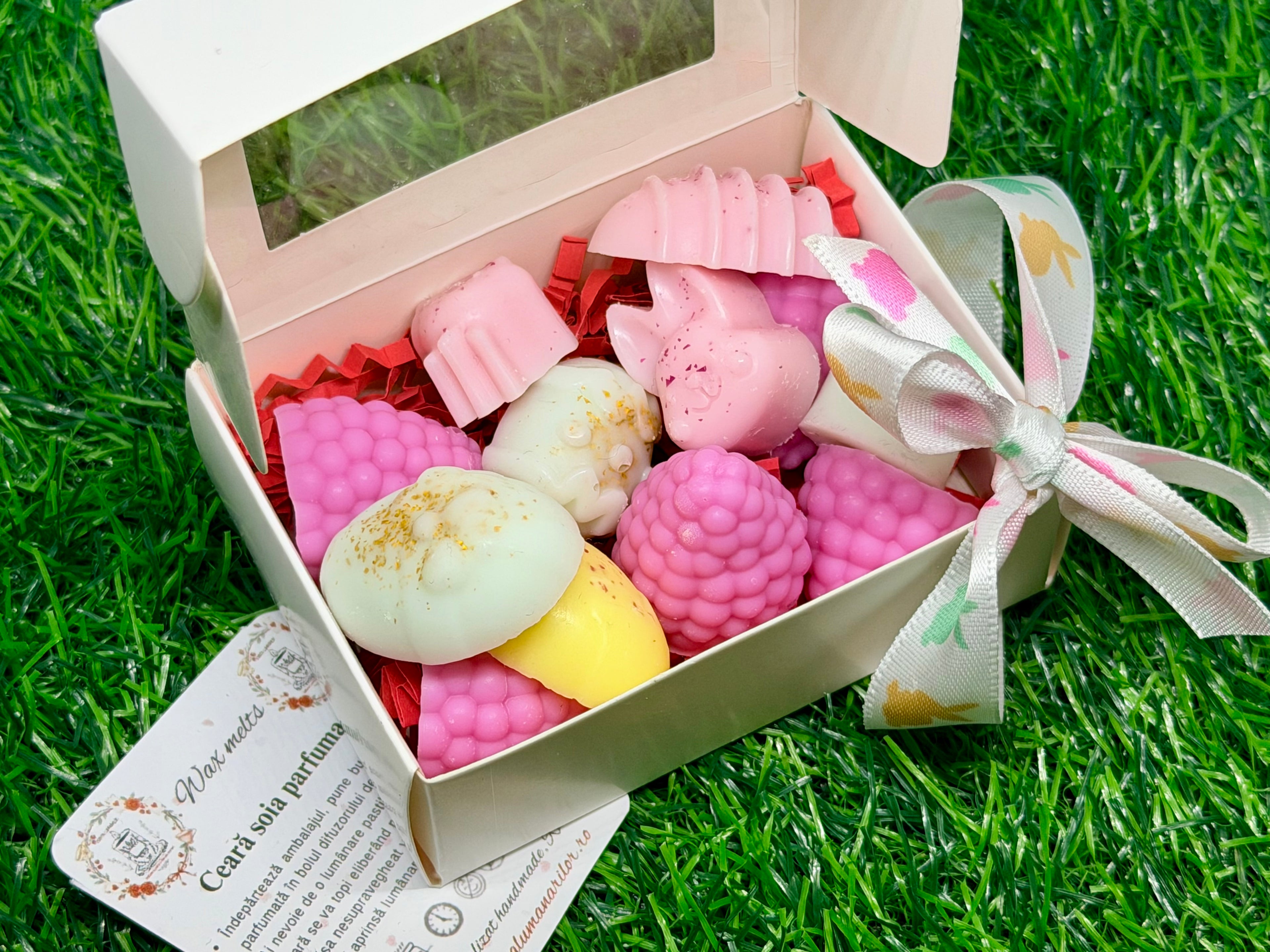 Wax melts - zmeură & simboluri de Paște