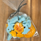 Săculeț wax melts- simboluri marine