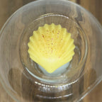 Wax Burner – Glob din Sticlă Transparentă