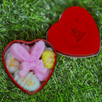 Wax melts - cutia iepurașului