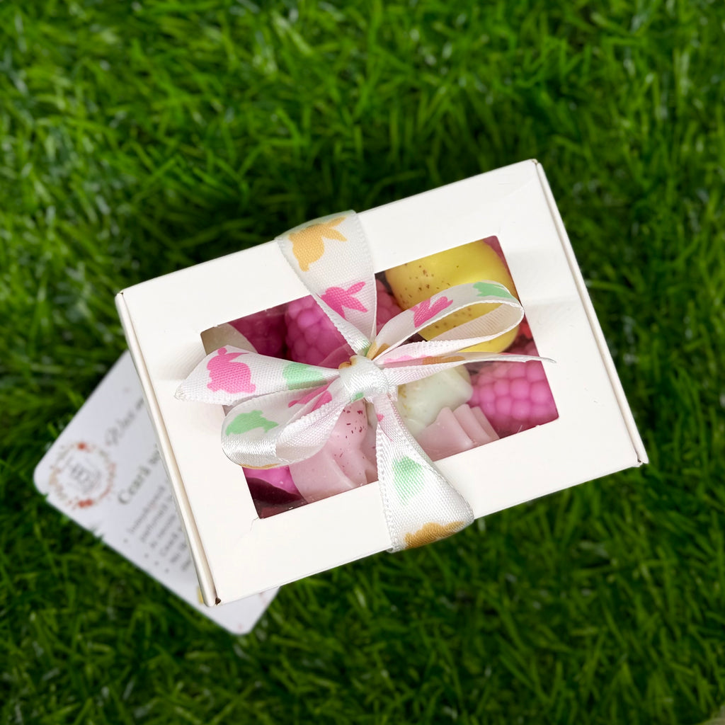Wax melts - zmeură & simboluri de Paște