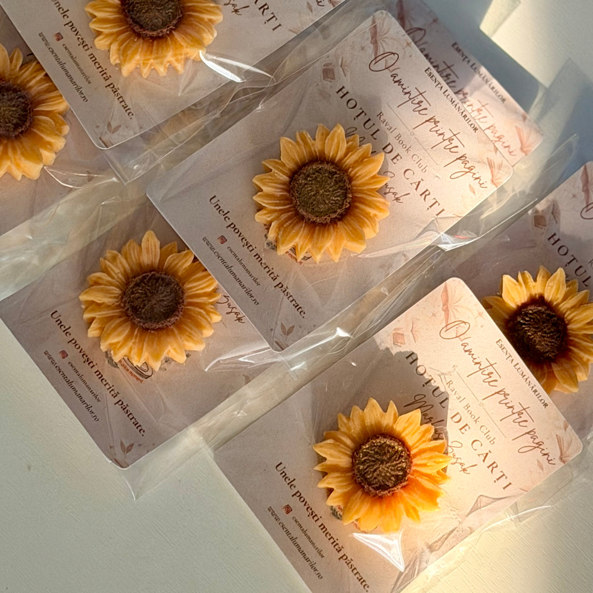 O amintire printre pagini 🌻