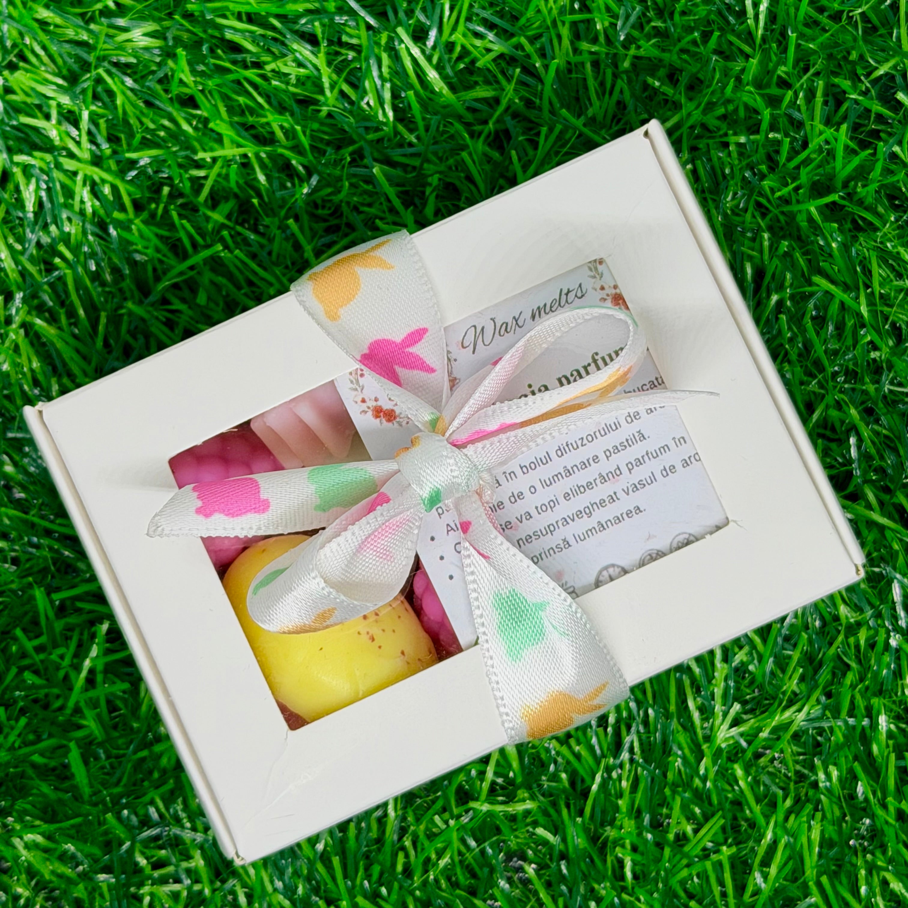 Wax melts - zmeură & simboluri de Paște