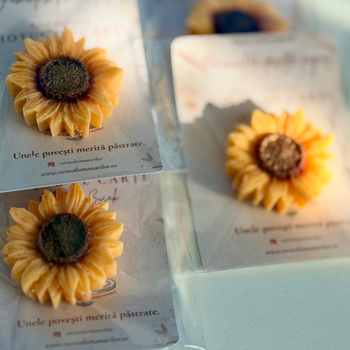 O amintire printre pagini 🌻