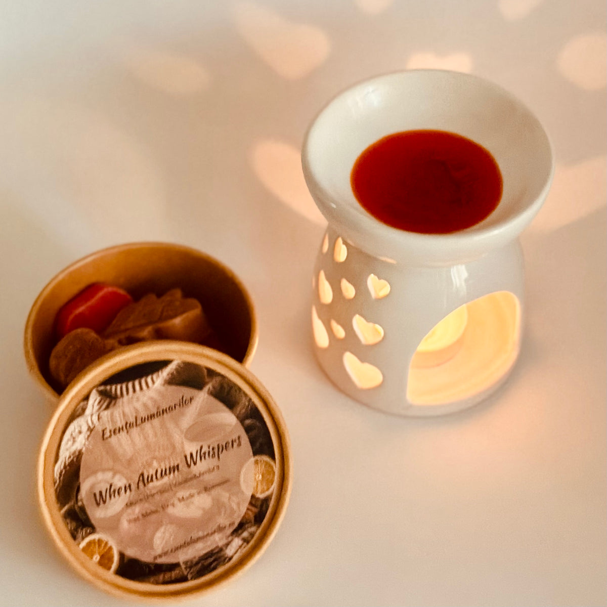 Wax Melts – Autumn Collection