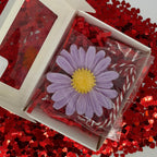Mărțișor Wax Sachet- Margaretă (odorizant dulap)